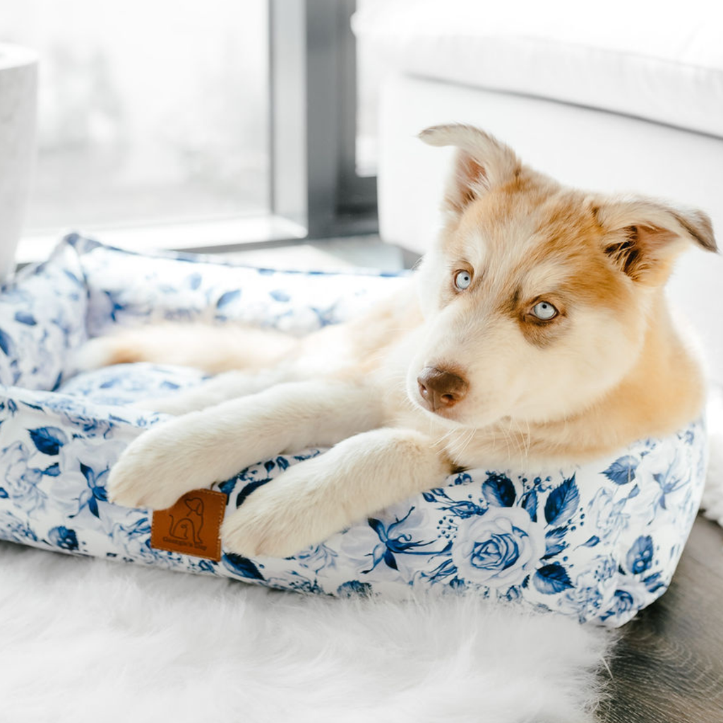 Lennon Dog Bed